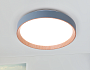 FZ1320 GR/LWD серый/светлое дерево IP20 41W 3000-6400K D390*70 (ПДУ ИК)